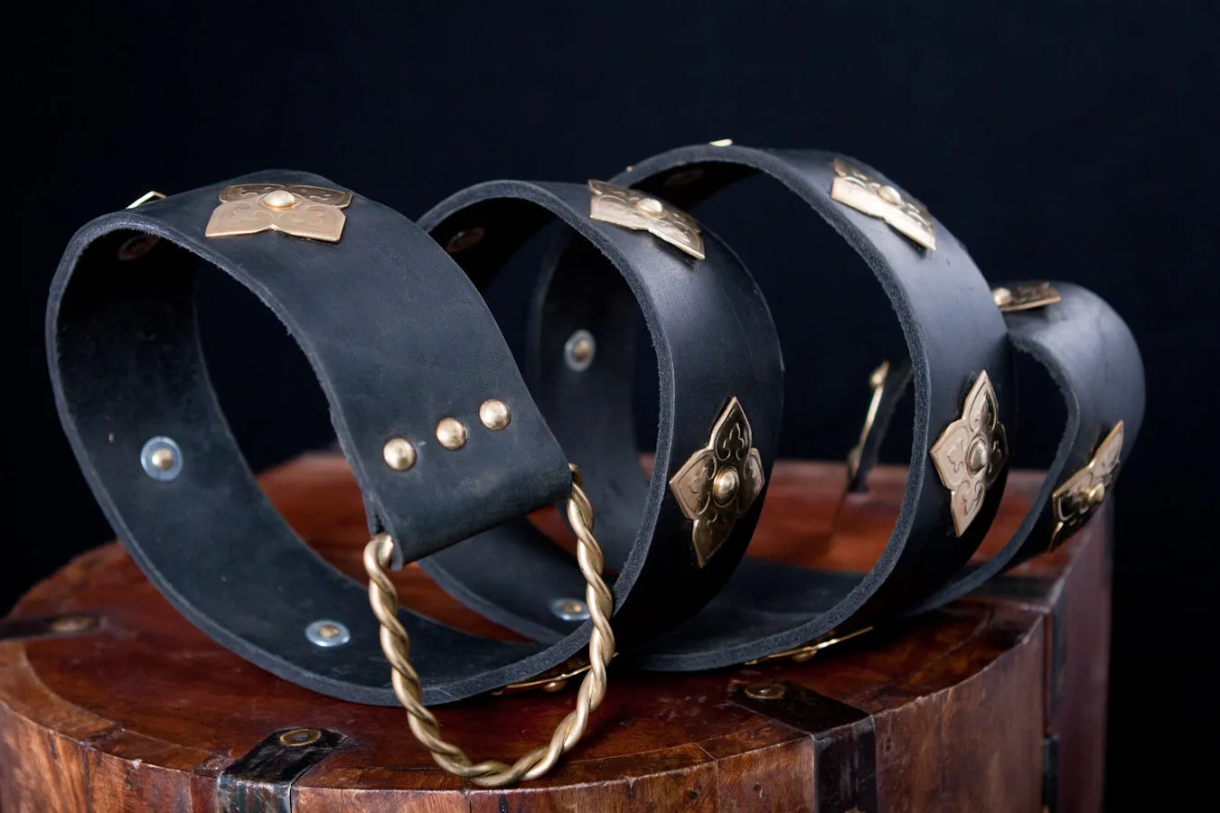 Armor Leather Belt