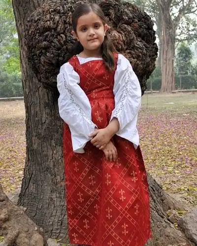 Girls Fleur de Lis Dress