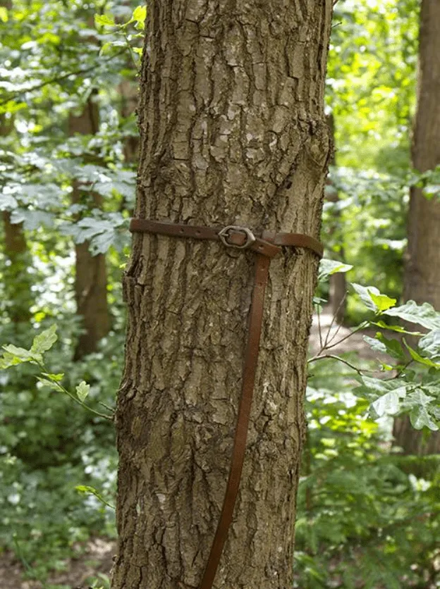 Godfrey Leather Belt