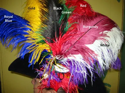 Ostrich Feathers