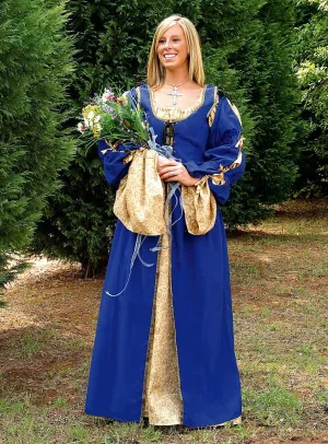 Renaissance Overdress