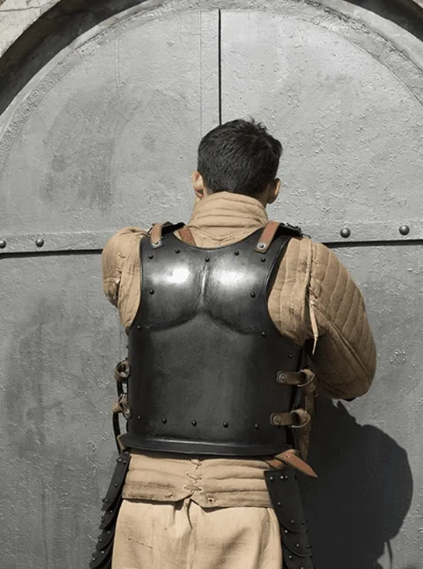 Steel Backplate for Dark Drake or Dark Warrior