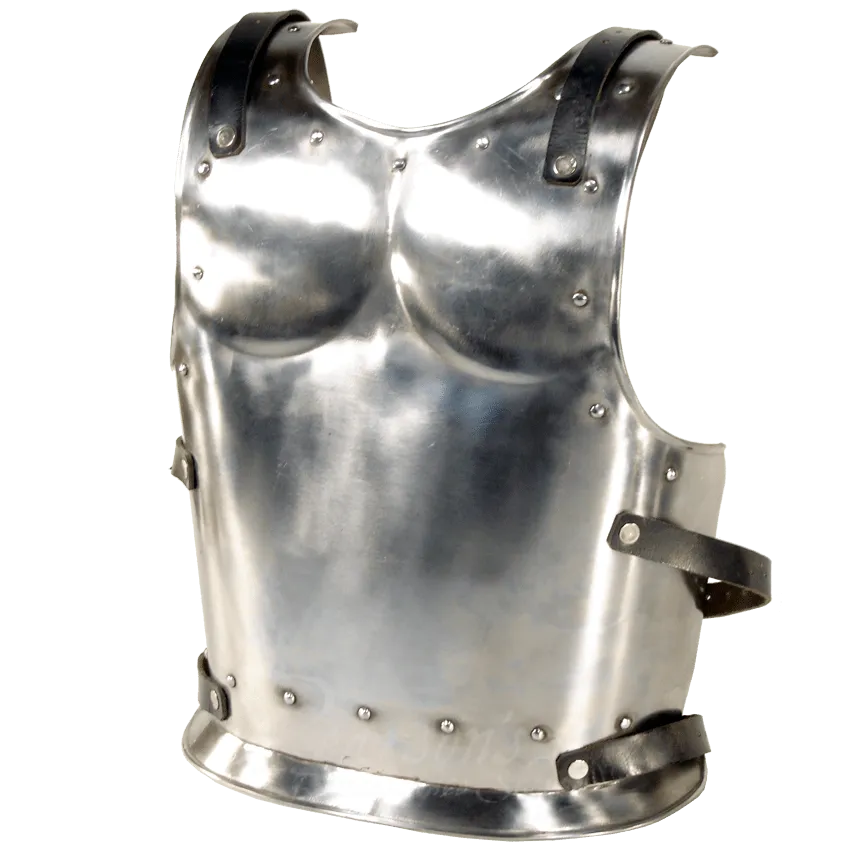 Steel Backplate for Warrior or Drake